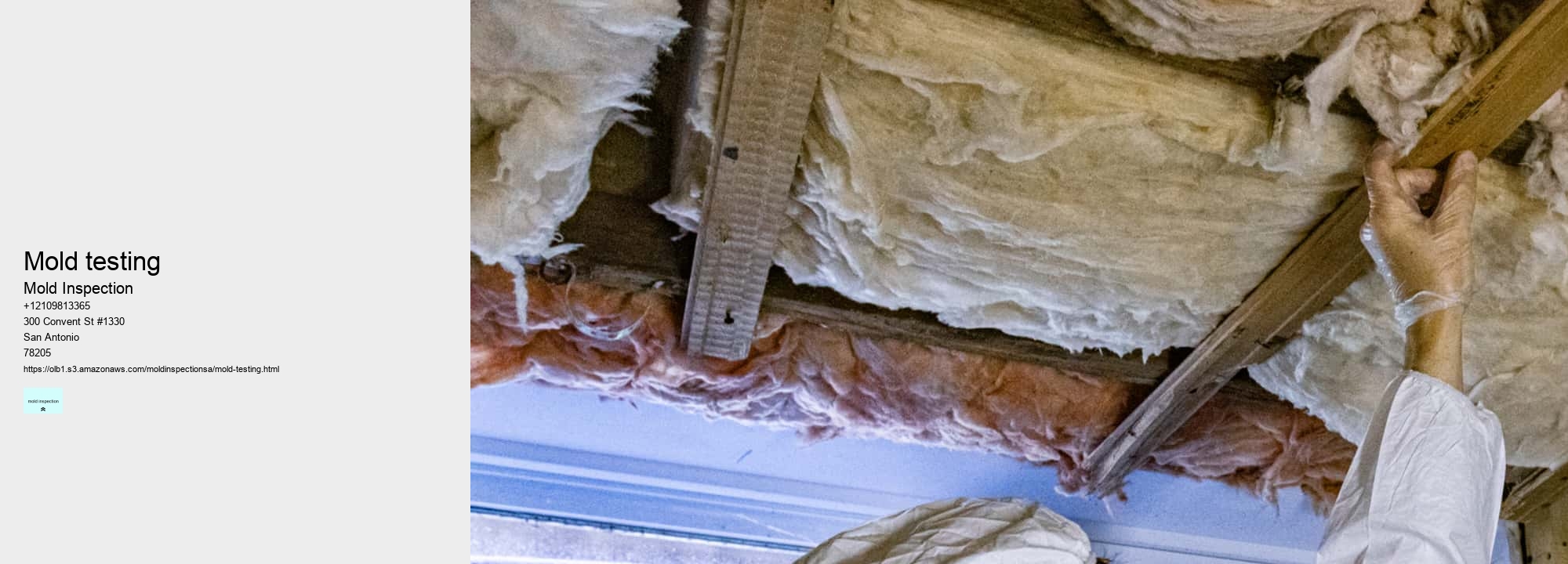 How to Protect Your Home From Dangerous Mold Growth